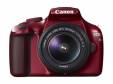 Canon EOS Kiss X50 EF-S 18-55 IS II 󥺥å å*