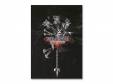 DIRGE of CERBERUS-FINAL FANTASYVIIʸǡˡGackt*