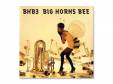 BHB3BIG HORNS BEE