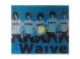INDIESWaive