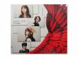 Nostalgia()(DVD)GARNET CROW