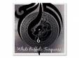 White Buffalo Turquoise[]6(ƣ긭)