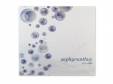 zephyranthus[ƱCD]love solfege