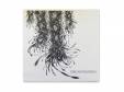 2nd DEMO[CD]THE NOVEMBERS