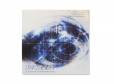 in a moment of the birds flying[CD]UNCHAIN