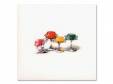 PRINTED JELLY 02ǯ[]Ϳ
