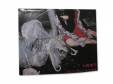 2011live 饭[CD]翹