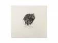 1st DEMO[CD]THE NOVEMBERS