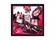 P!NK masquerade.[ DVD]SuG