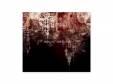 alcove / 1[ DVD]acid android