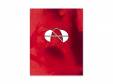 Akina Nakamori. 2001. 20th Anniversary Live Its brand new day[DVD]濹