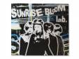 SUNRISE BLOOM[]lab.