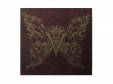 NOBLE-TERU-[ŵDVD]Versailles