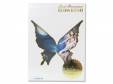 Koda Kumi Premium DVD[ڡŵDVD]̤