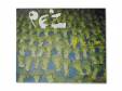 Auction[CD]PEZ