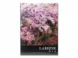 /ɥ[]LAREINE