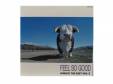 FEEL SO GOOD HIMIKO THE BEST VOL-2[]ӤҤߤ