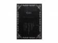 Special Present DVD « -THE DAYZERO_NINE.- [DVD]kin