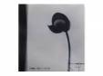 Ϥ[CD]iter