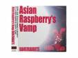 BANG!RABBITS[]Asian Raspberrys Vamp