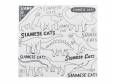 We were dinosaur in 2012[CD]७åġSIAMESE CATS