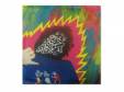 DEMO[CD]쥵