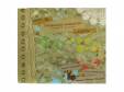 Pleasure seasons ޤǤ⡢[CD]KOTOKO