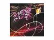  Btype[]Royz