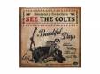 BEAUTIFUL DAYS[CD]THE COLTS
