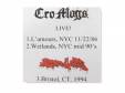 LIVE![׼DVD]Cro-Mags