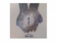 ز[CD]Marelyʥᥢ꡼