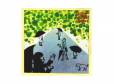 UP/DOWNRAINCOAT[CD]Ca-P