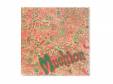 DEMO[CD]Muchion
