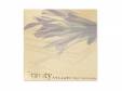 Gravity[CD]५