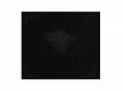 paradiselost(B-type)[CD] Kin