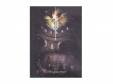 [DVD]HIZAKI grace project