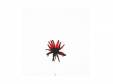 ESQUISSE 3/3[CD]AMEPHONE
