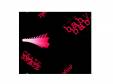 baby punks 2000[]CRAZE