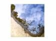 The World e.p.[CD]9mm Parabellum Bullet