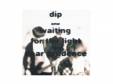 waiting for the light[]dip