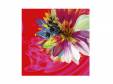 Cassis B[CD]the GazettE