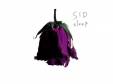 sleep B[CD]