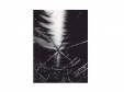 ͼǥ/ͥƥ/鯿 [CD]PIERROT
