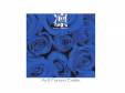 As If Forever Exists. TYPE C-the end of corrupition world-