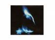 BURNING STONE(MAGAIBUTSU LIMITED)[CD]륤