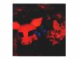 The Klock[CD]AA=