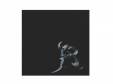 R[] [CD]Rʥ