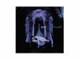 NOT[CD]Vizell
