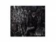Aleph[CD]AshALPHA