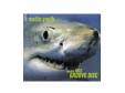 media MIX GROOVE DISC [CD]media youth